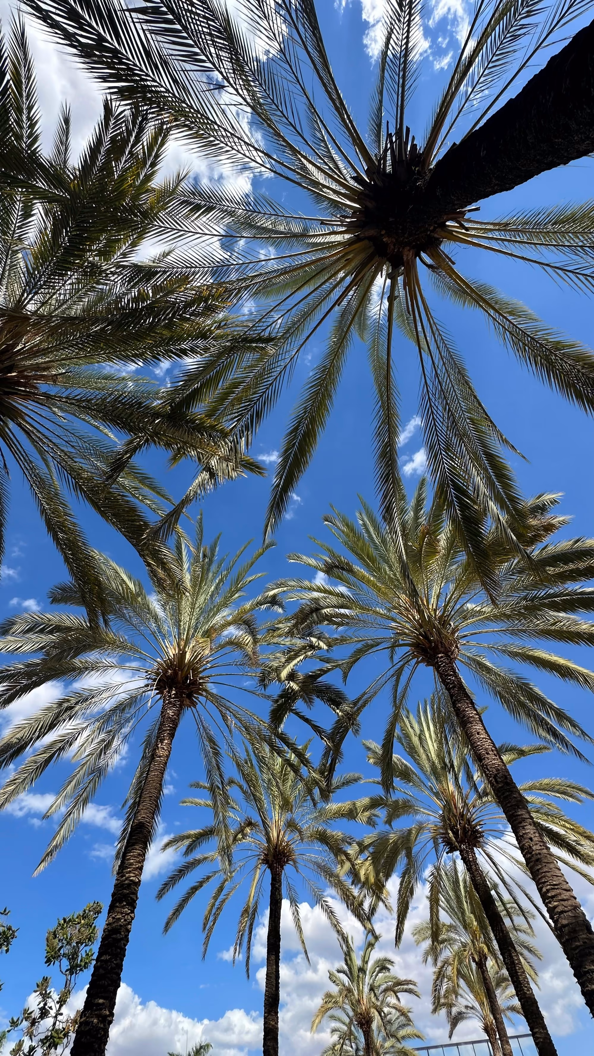 עבודה 4, פרויקט אתר אינטרנט מאת אסף בוסקילה